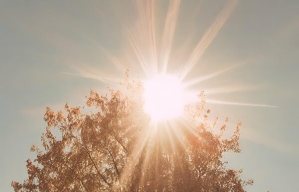 Sonnenschutz Bauarbeiter